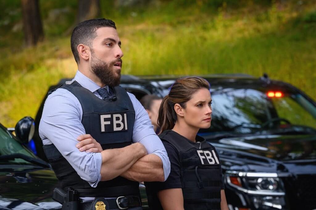 Missy Peregrym image