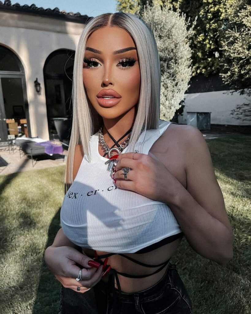la demi image