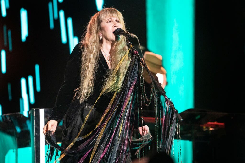 Stevie Nicks image